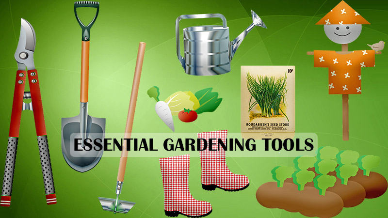 Essential gardening tools