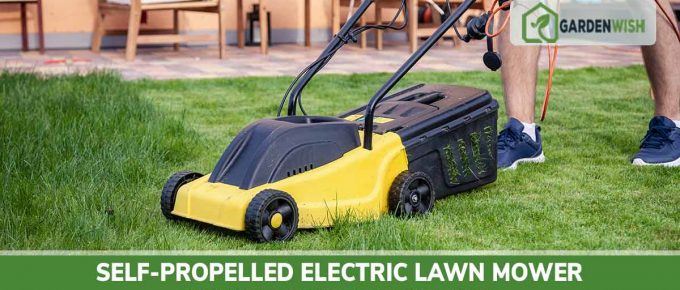Best Self-Propelled Electric Lawn Mower