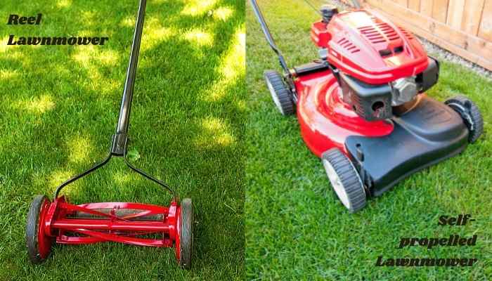 Choosing Between Reel Lawnmower and Self-propelled Lawnmower