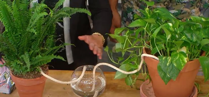 watering garden plant using rope trick