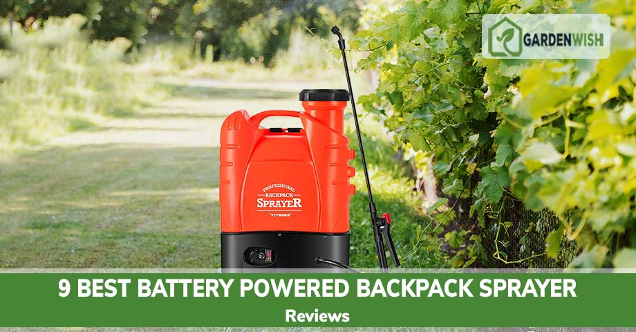 Best Battery Powered Backpack Sprayer