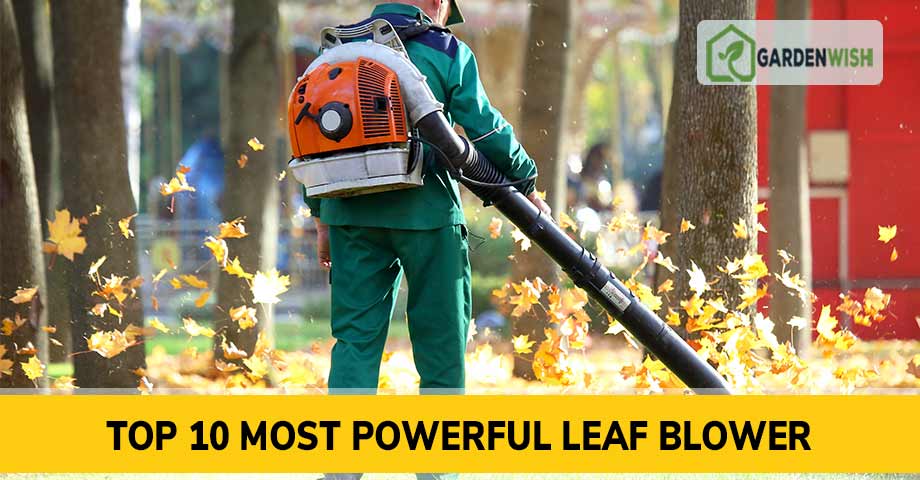 Most Powerful Leaf Blower