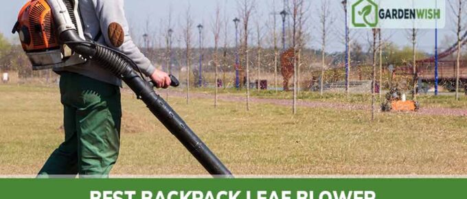 Best backpack Leaf Blower