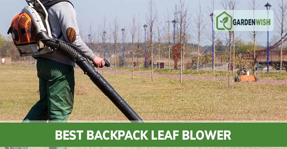 Best backpack Leaf Blower
