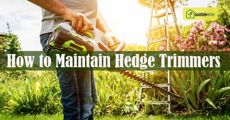 How to Maintain Hedge Trimmers