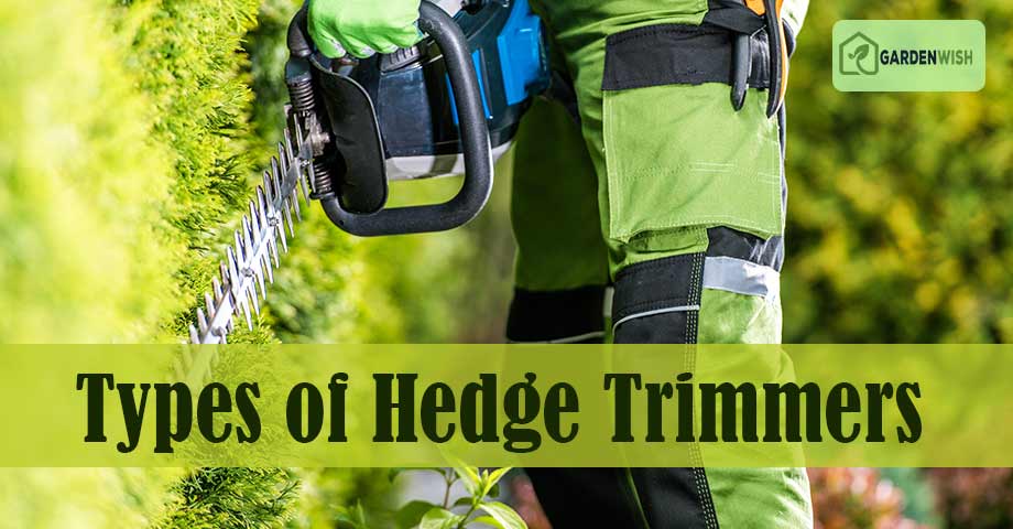 Types of Hedge Trimmers