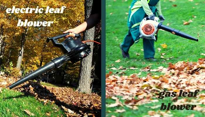 Electric or Gas Leaf Blower Blowing Power