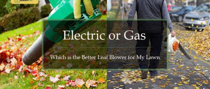 Electric or Gas leaf blower