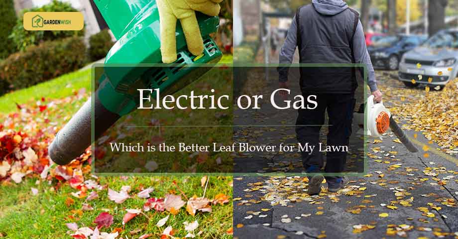 Electric or Gas leaf blower